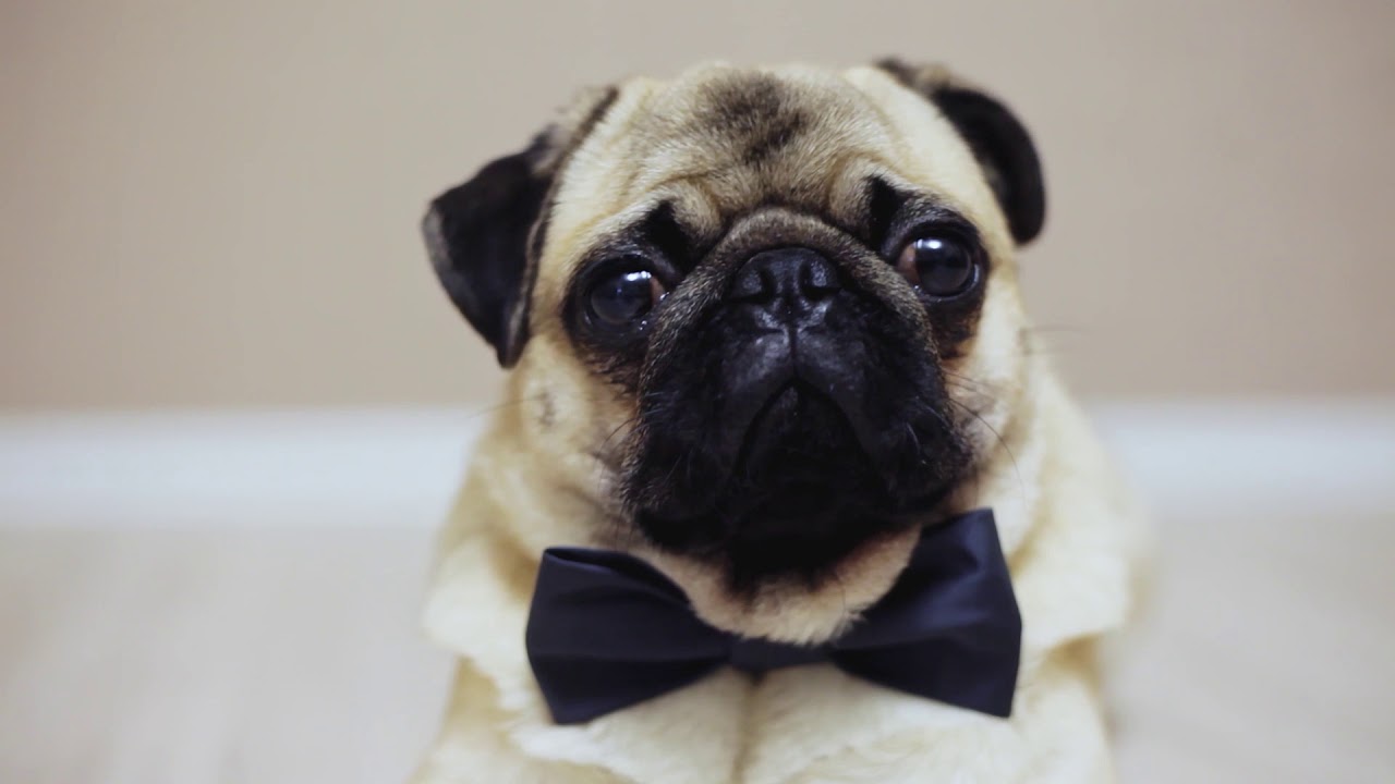 Why work at moneycorp?